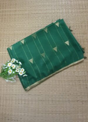 Green - Bhagalpuri Ghicha Tussar Silk Saree