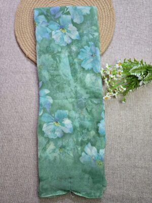 Mint Green -Chiffon Georgette Saree